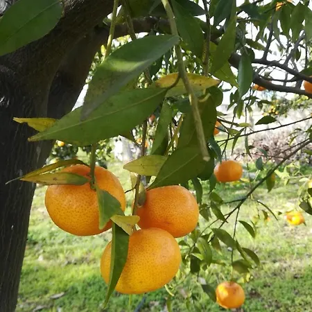 Na Botta Ri Saluti Hébergement de vacances