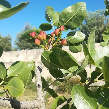 Holiday home Na Botta Ri Saluti Augusta